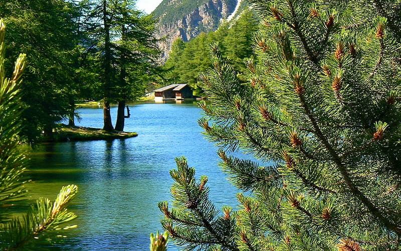 Islamabad with a full of trees